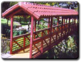 Pedestrian Bridge 1