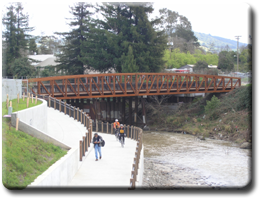 Pedestrian Bridge 3