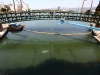the-new-pedestrian-bridge-is-installed-at-the-lake-merritt-12th-street-project-17